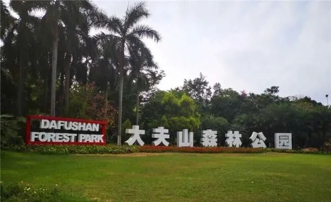 广州番禺【大华紫悦府】附近有什么配套吗？小区里面有学校吗?