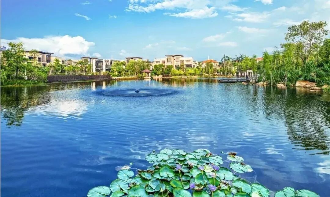 番禺市桥天颐华府独栋别墅260~396㎡