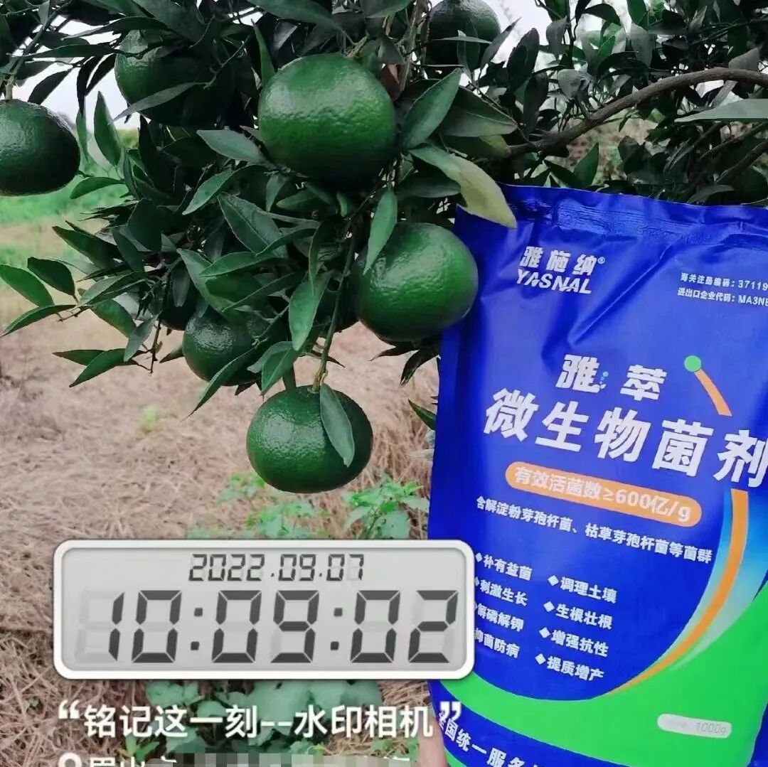 日照雅施纳进出口有限公-选对微生物菌剂，土壤病害不再是问题！