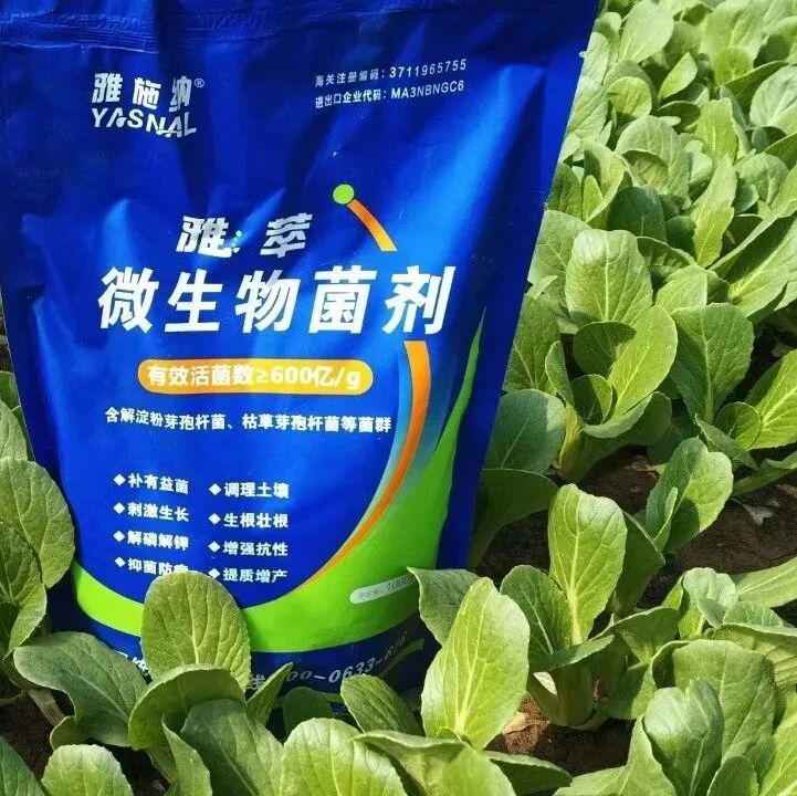 日照雅施纳进出口有限公-选对微生物菌剂，土壤病害不再是问题！