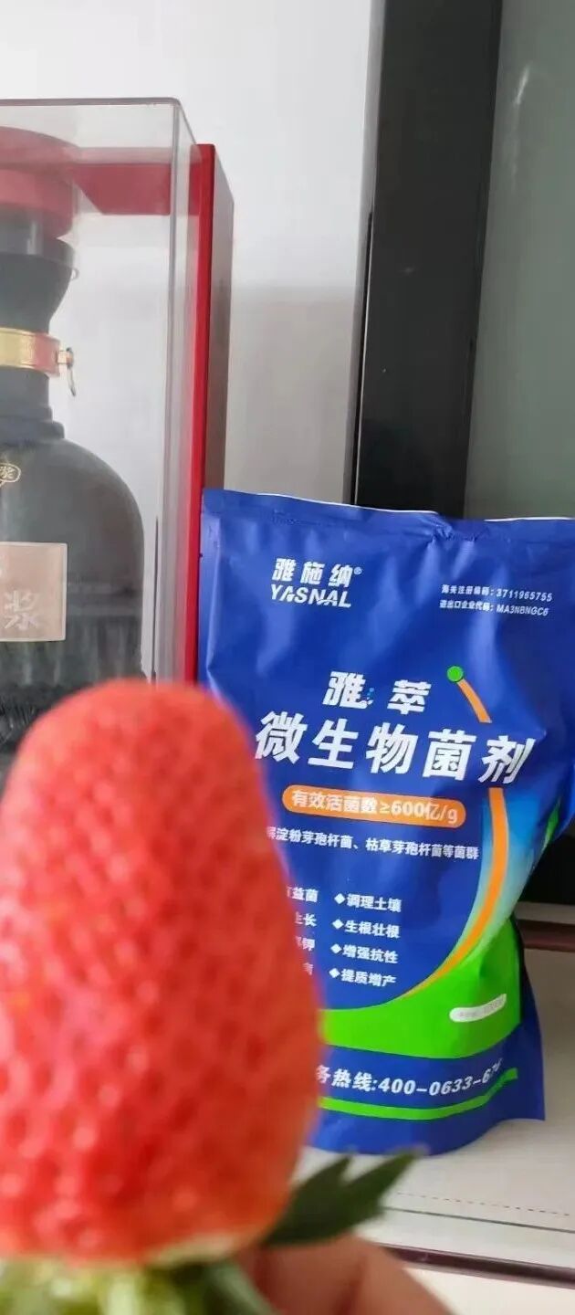 日照雅施纳进出口有限公-选对微生物菌剂，土壤病害不再是问题！