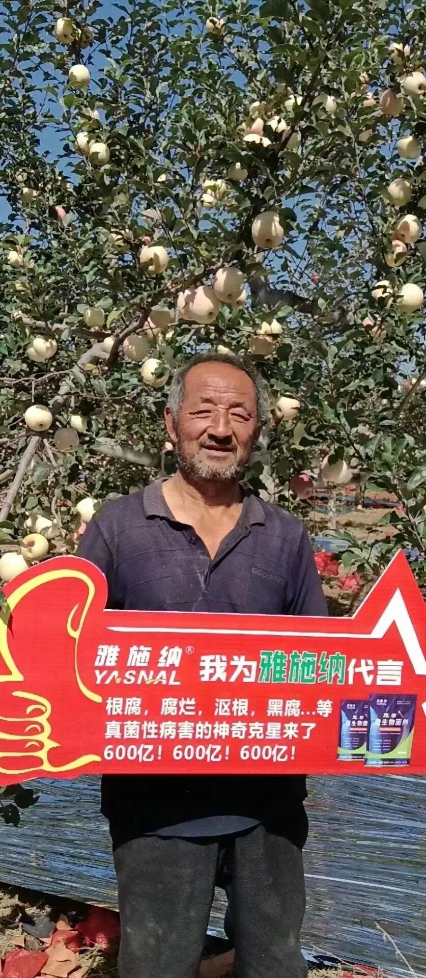 日照雅施纳进出口有限公-选对微生物菌剂，土壤病害不再是问题！