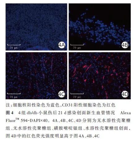 创面修复抗菌敷料怎么用论著 · 生物材料在创面修复中的应用｜水溶性壳聚糖凝胶敷料对糖尿病小鼠感染创面愈合作用及机制的研究_https://www.jmylbn.com_新闻资讯_第9张