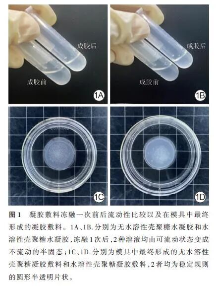 创面修复抗菌敷料怎么用论著 · 生物材料在创面修复中的应用｜水溶性壳聚糖凝胶敷料对糖尿病小鼠感染创面愈合作用及机制的研究_https://www.jmylbn.com_新闻资讯_第5张