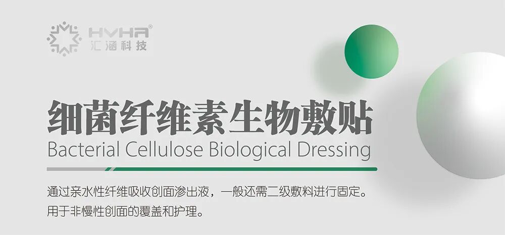 创面修复抗菌敷料怎么用综述｜壳聚糖基创面敷料在创面愈合中的作用及其机制研究进展_https://www.jmylbn.com_新闻资讯_第8张