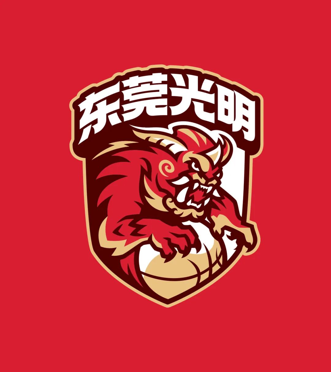 耐克历年为耐高男女子头部球队进行专属球队视觉设计