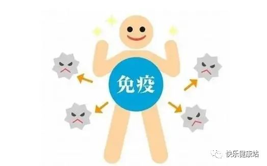 能够通过增强淋巴细胞增殖反应，提高机体细胞的免疫力和体液的免疫力。