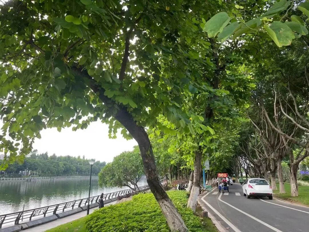 白鹅潭这座百万方大城，力诚·榕诚湾主推85㎡-168㎡！