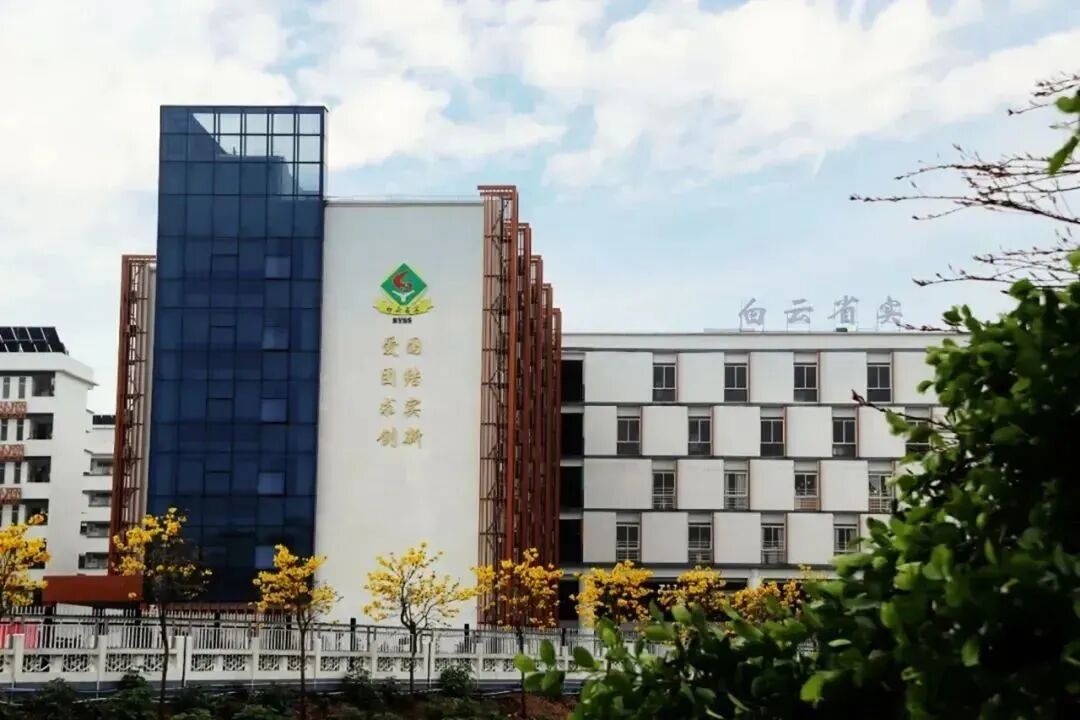 广州白云双地铁TOD，250万可以买三房！