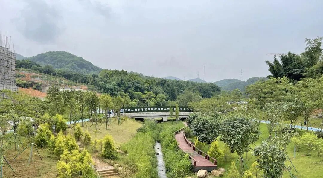 独门独院独梯！知识城山与墅242套叠院，值得买!