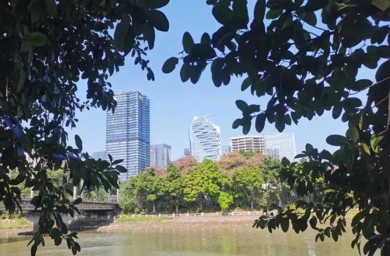 赤沙TOD接棒琶洲保利天悦！案名“品越华府”，预计价格10-13万+