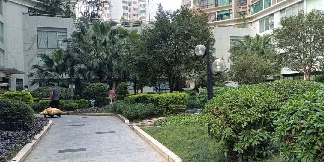 天河北二手房天文苑，次新小区，元旦推出特价单位！