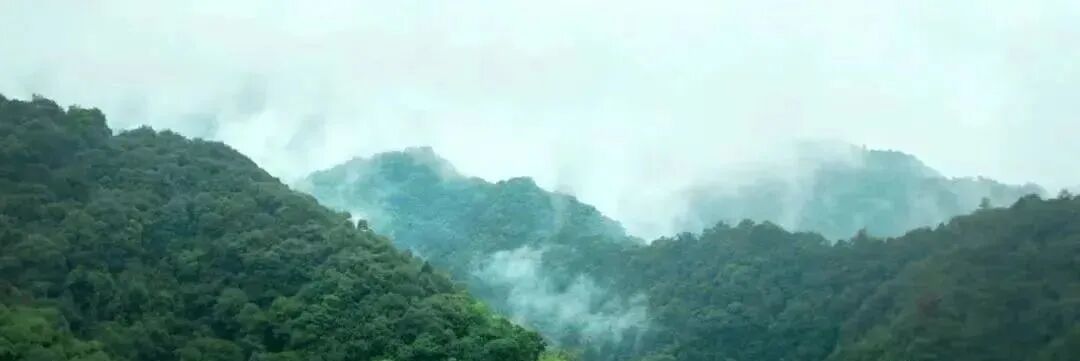 广州御溪·臻山墅吹风1000万套，175~265平！