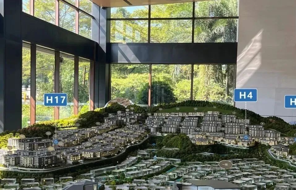 增城*别墅盘来了！御溪·臻山墅吹风价800-1000万/套