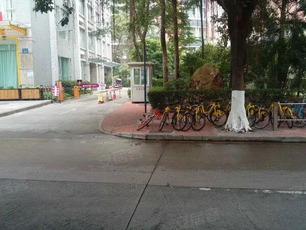 【二手笋盘】广州天河北天惠嘉园小区，业主低于市场价出售！