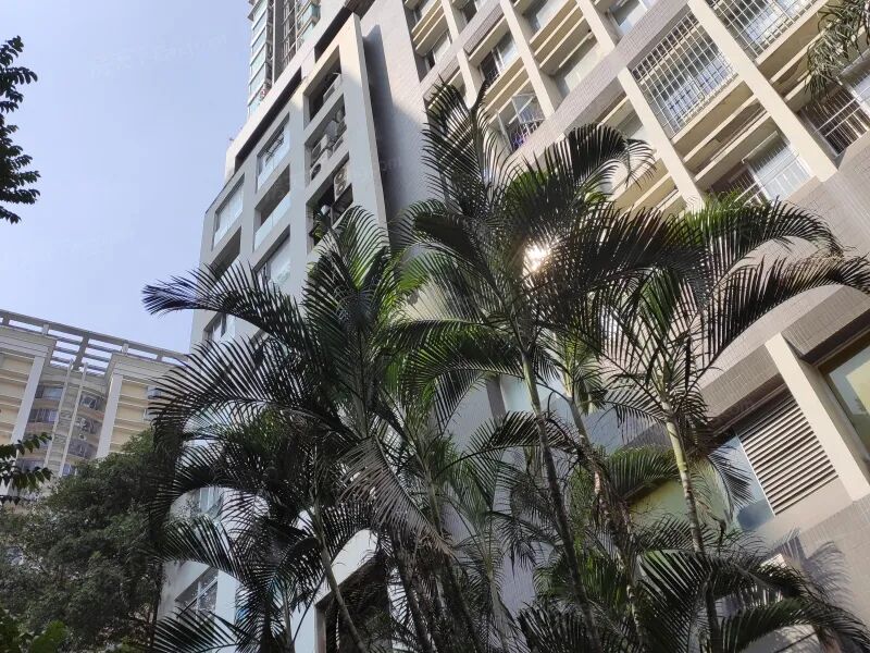 【二手笋盘】广州天河北伊顿18，600万精装大2房