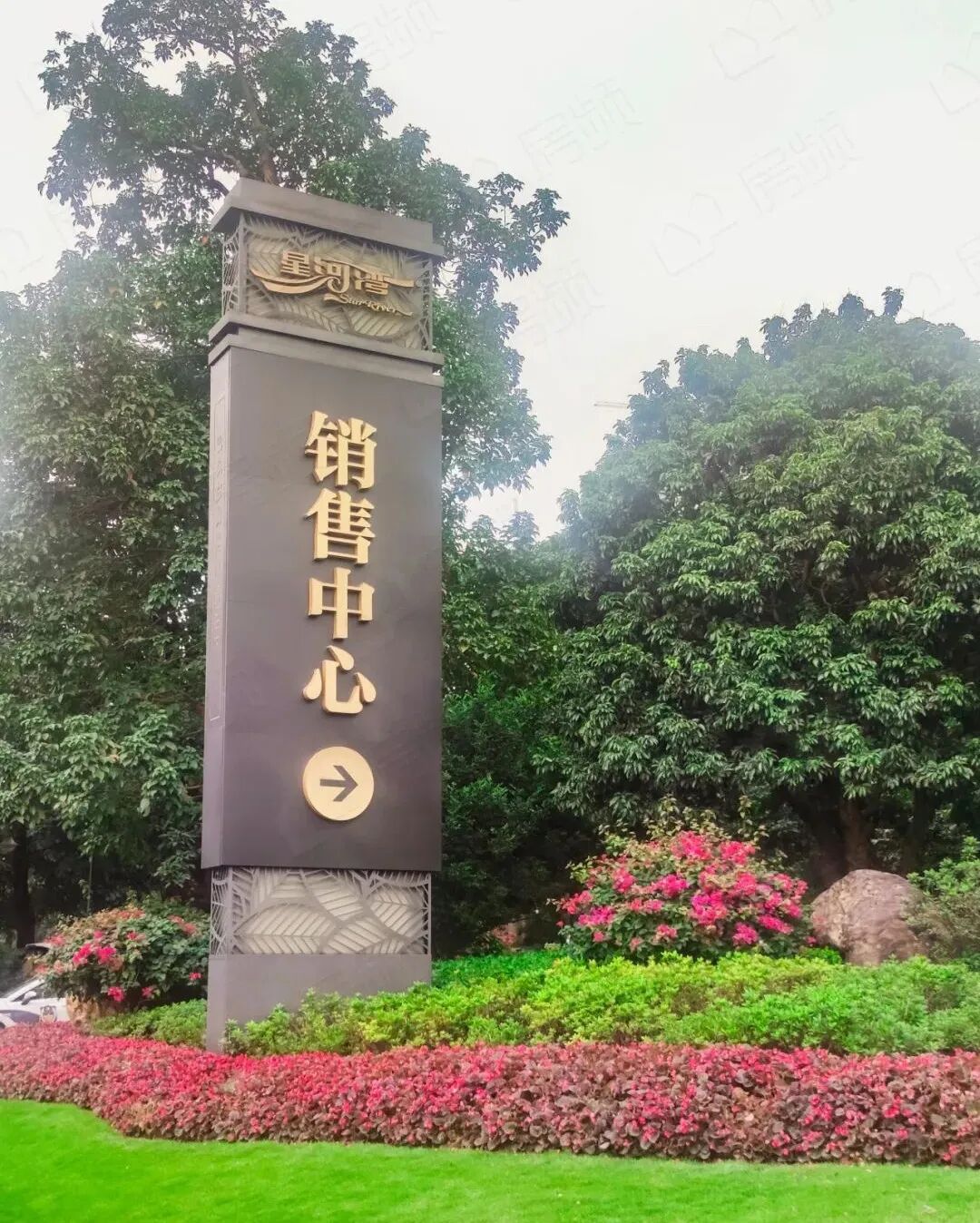 实探科学城星河湾萝峰项目！价格打听到了~