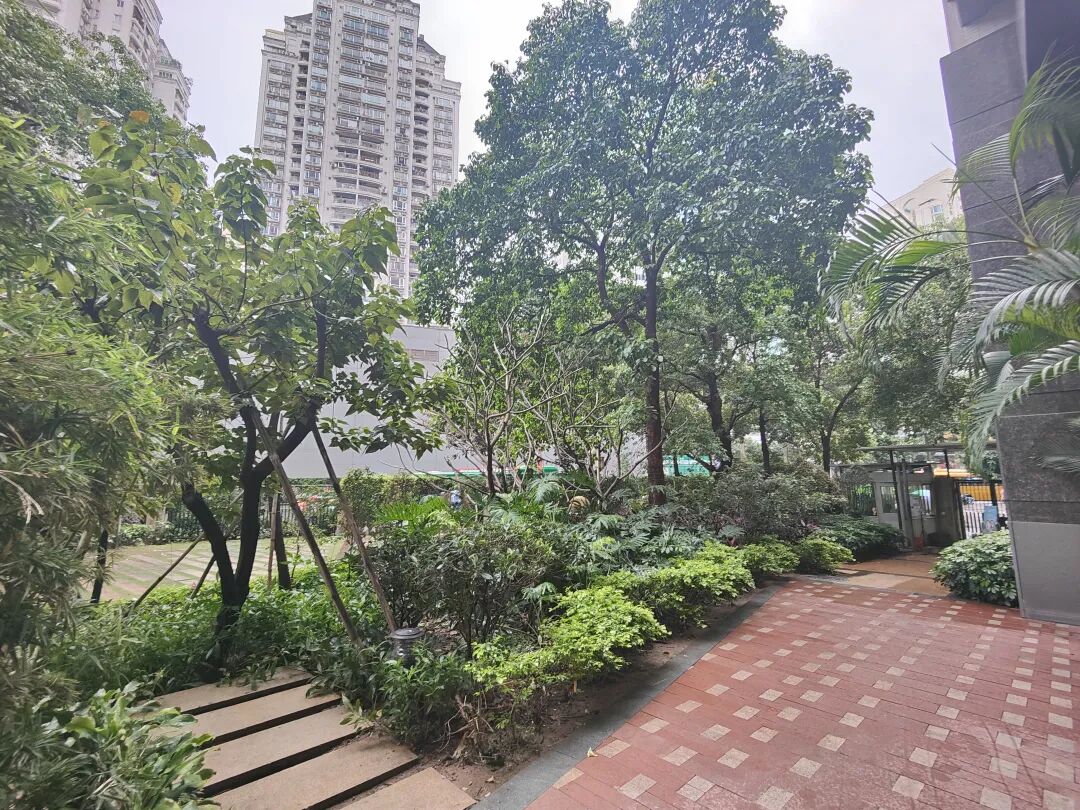 天河北二手房小区，瑞安创逸小区选房指南！