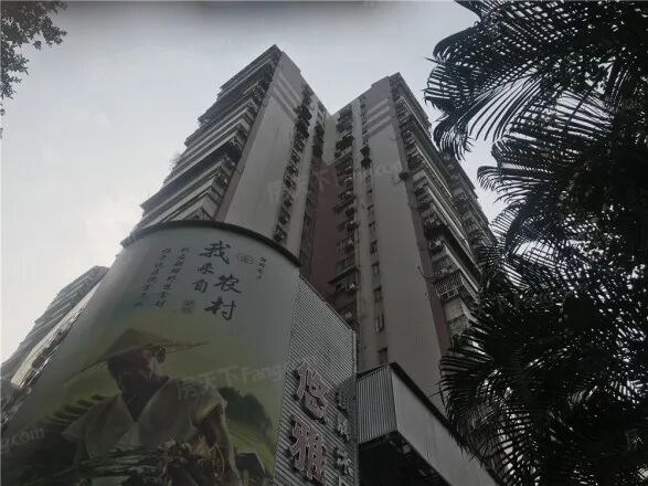 广州省府宿舍怎么样?值不值得入手？