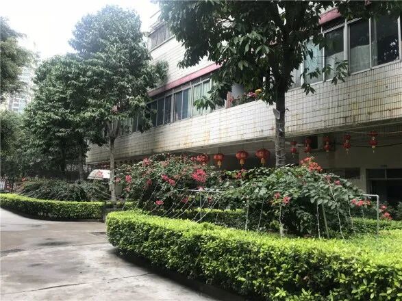 广州省府宿舍怎么样?值不值得入手？