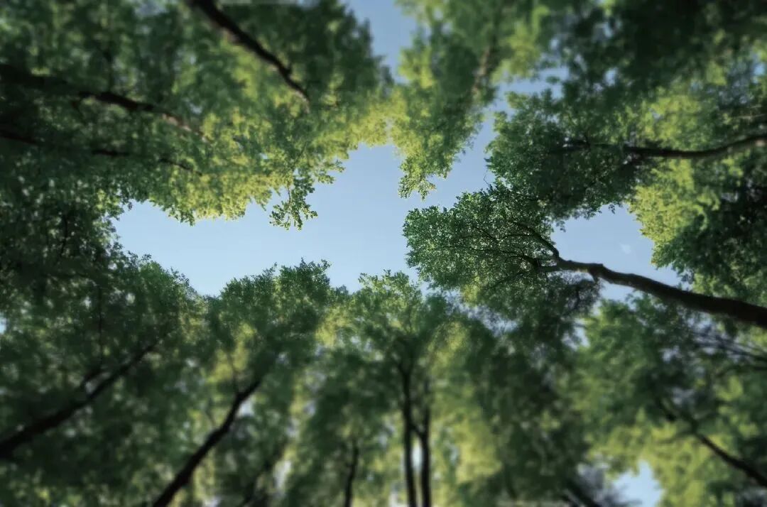 天河豪宅合生缦云广州，7万+/平值得入手吗？