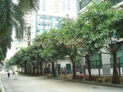 【二手笋盘】广州天河北金碧翡翠华庭，精装两房+户型方正，总价低