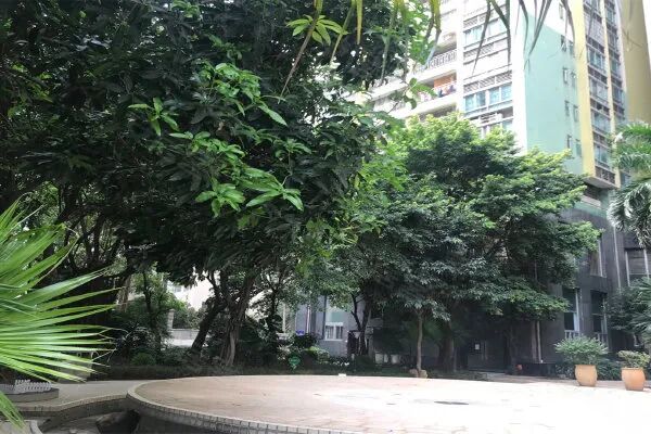 【二手笋盘】广州天河北金碧翡翠华庭，精装两房+户型方正，总价低