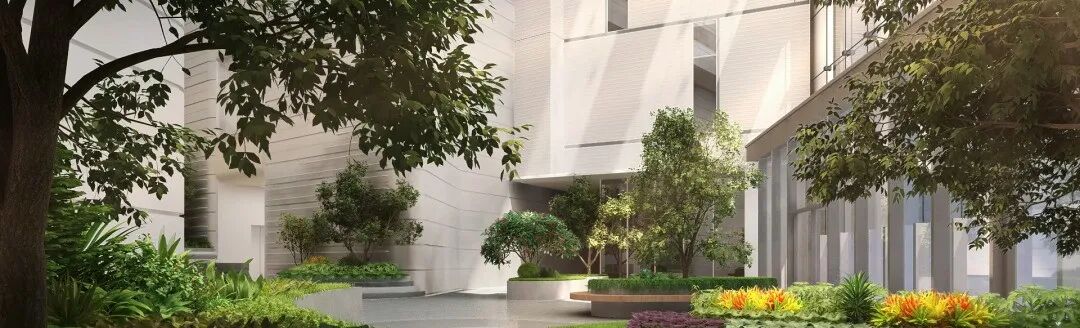 330米！246米！广州黄埔一批超高*崛起！