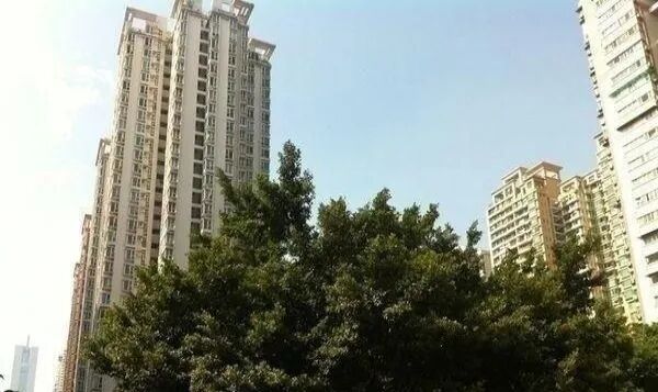 【二手笋盘】广州天河北协和新世界，龙口西学位+高层视野开阔