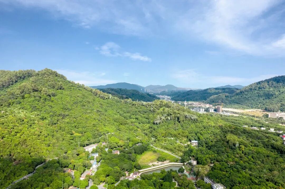 黄埔黄陂板块中铁建新盘，限价4.7万/㎡！