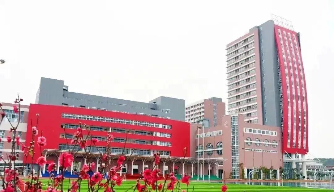 白云绿城江府海棠3月*开，吹风价2.2-2.4万/㎡！