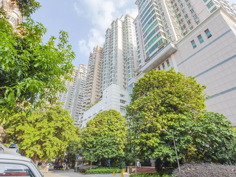 广州二手房枫丹雅筑房价怎么样?详情分析!