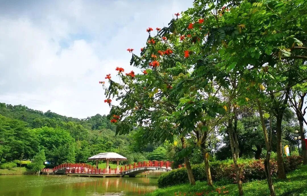 番禺创新城又有新盘，越秀兴业大道南项目300万就能上车！