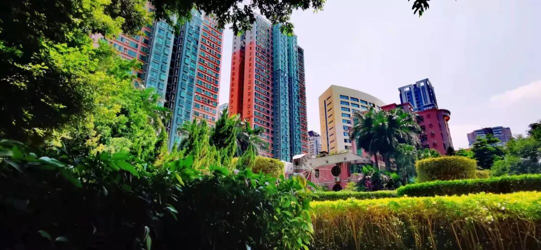 广州天河北二手房金海花园户型分析！优缺点分析！