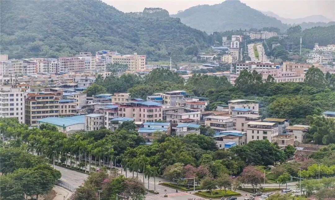 人均拿10.8万临迁费！增城“猎德村”猛刷进度！