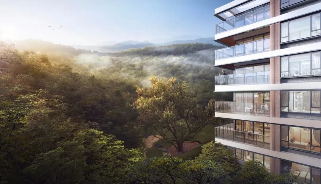 黄埔【越秀宏泰居山涧】知识城天花板纯改善项目!