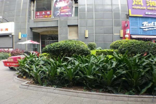 【二手笋盘】广州天河北鸿翔大厦，双地铁口物业