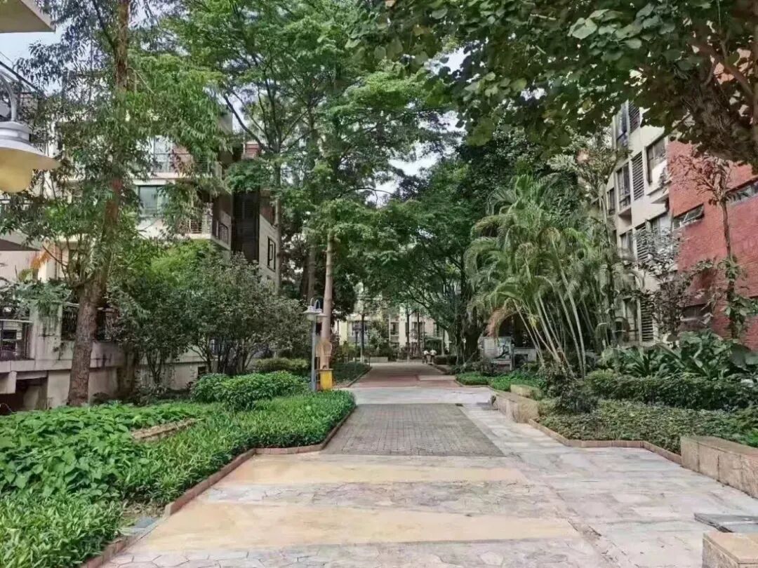 【二手笋盘】广州天河北：华标广场，龙口西学位房