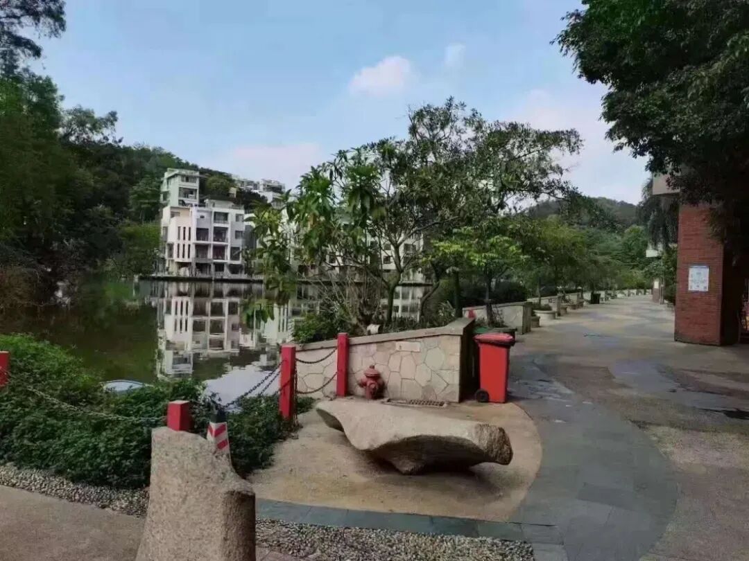 【二手笋盘】广州天河北：华标广场，龙口西学位房