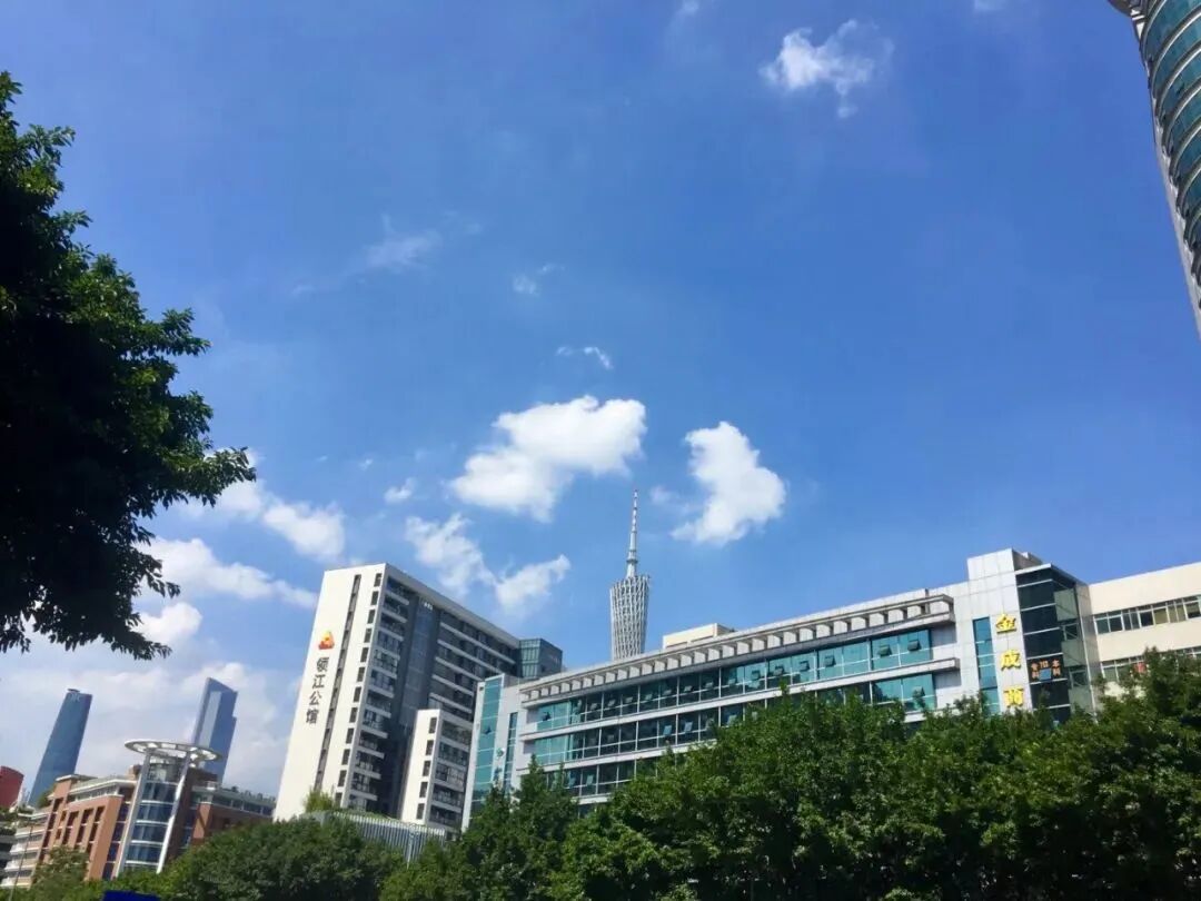 天河之后，*四区谁会在今年出圈