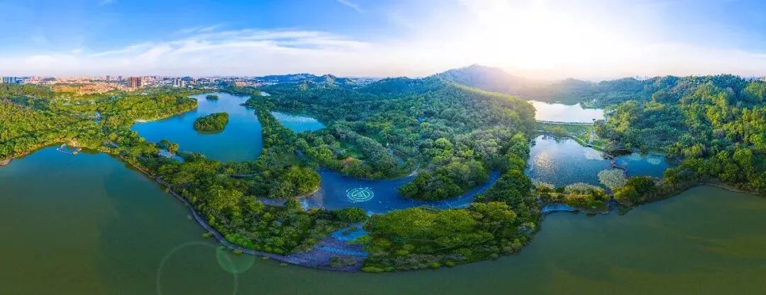 2.6万/平买市桥新房，下个月就可以办入户？