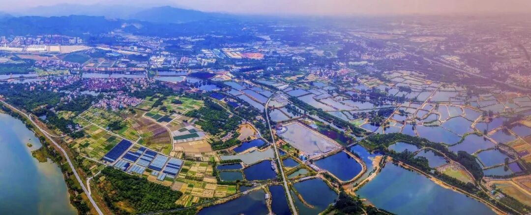 广州增城保利明玥湖光均价1.7万，*推84-121㎡户型!