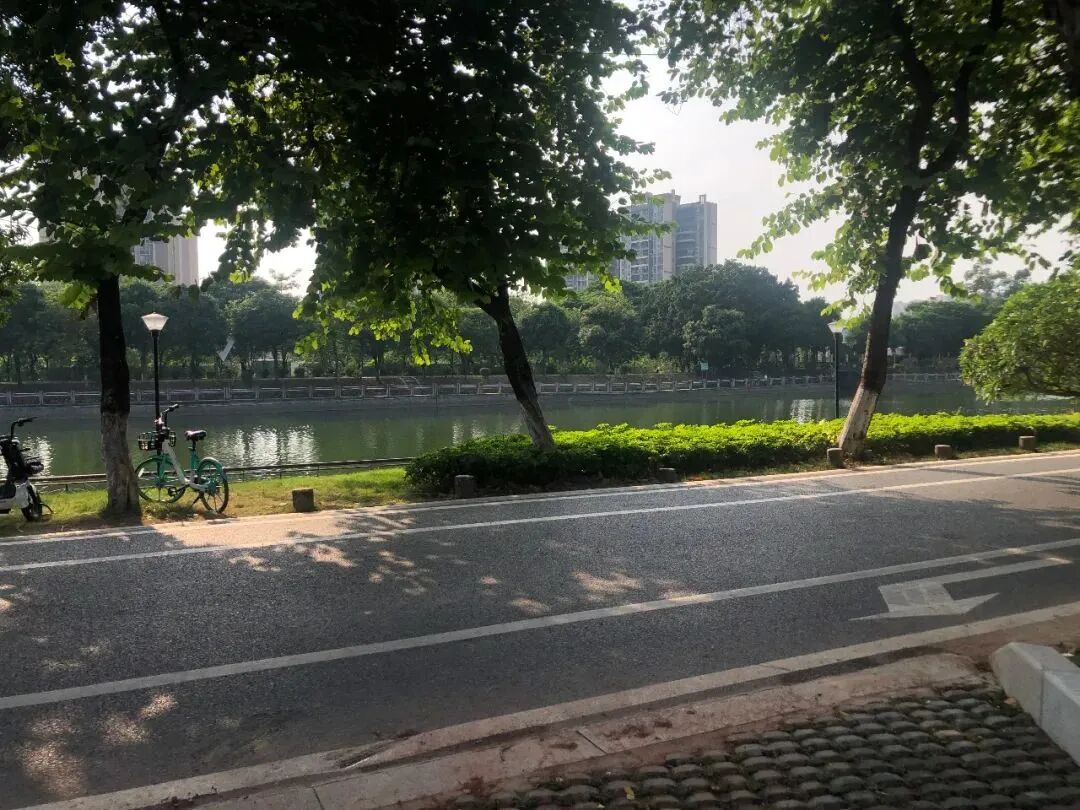 兼具实力与流量的力诚榕诚湾，卖多少能让你心动？