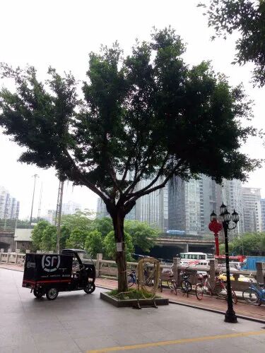 天河北二手房天寿大厦房价怎么样？ 天寿大厦二手房源