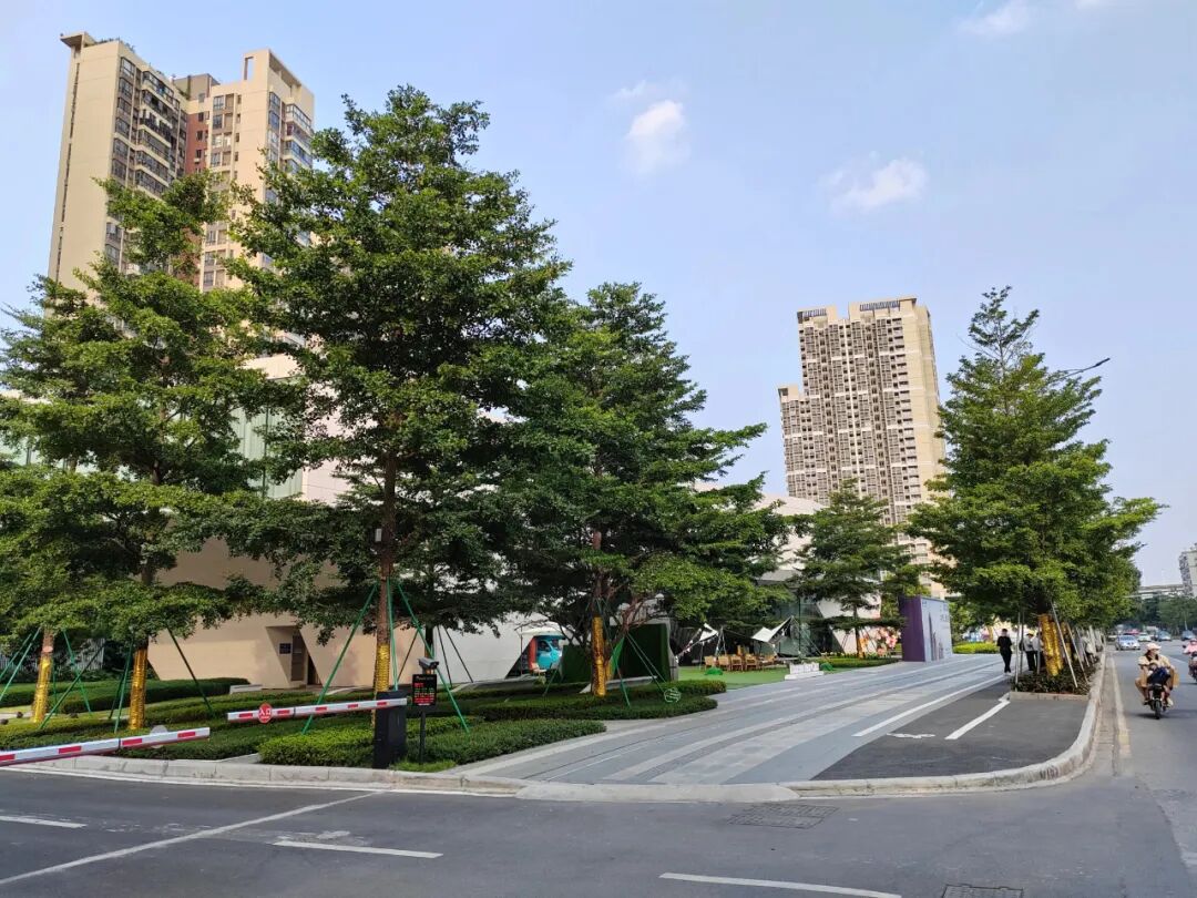 三地铁交汇！海珠老城区补货，价格会有惊喜吗？