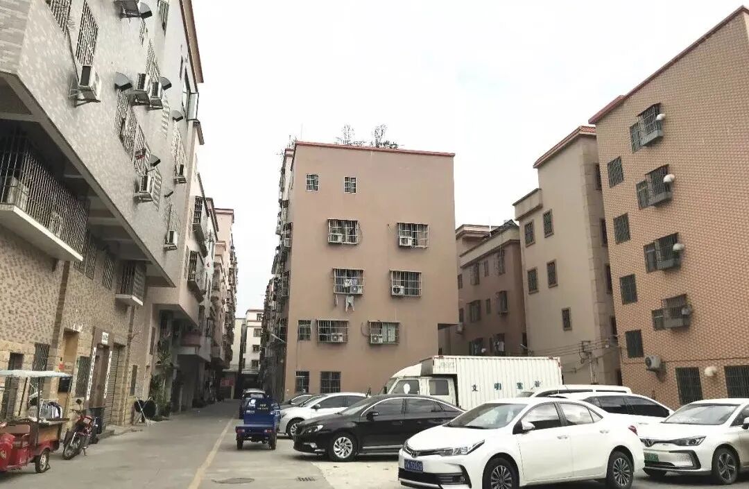 人均分红4.3万！番禺市桥这条旧村改造竟然也动了