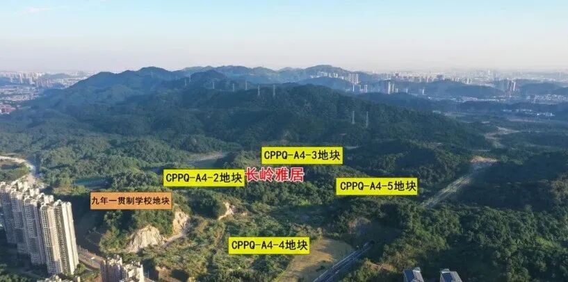 黄埔新房【长岭雅居】4月底即将开放！280㎡全新样板房