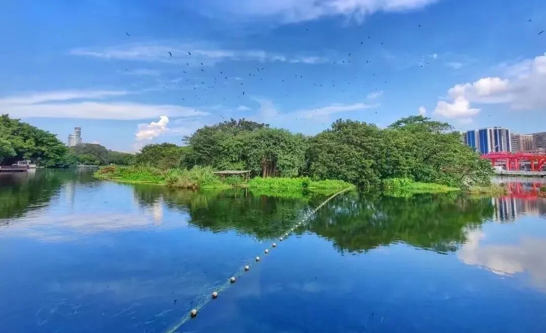 缺货已久的东风路迎来新盘——力迅荔筑，就在广雅小学旁！