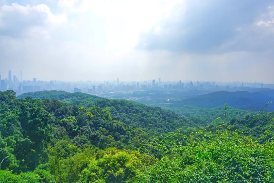 白云CBD西派云峰有新动作？