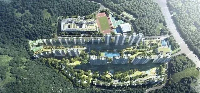 越秀瑞麓府，全南向低密度*！长隆番中实验学校，值不值得买？